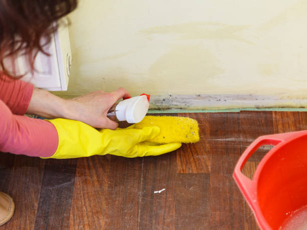 Best Mold Prevention Services  in Janesville, WI